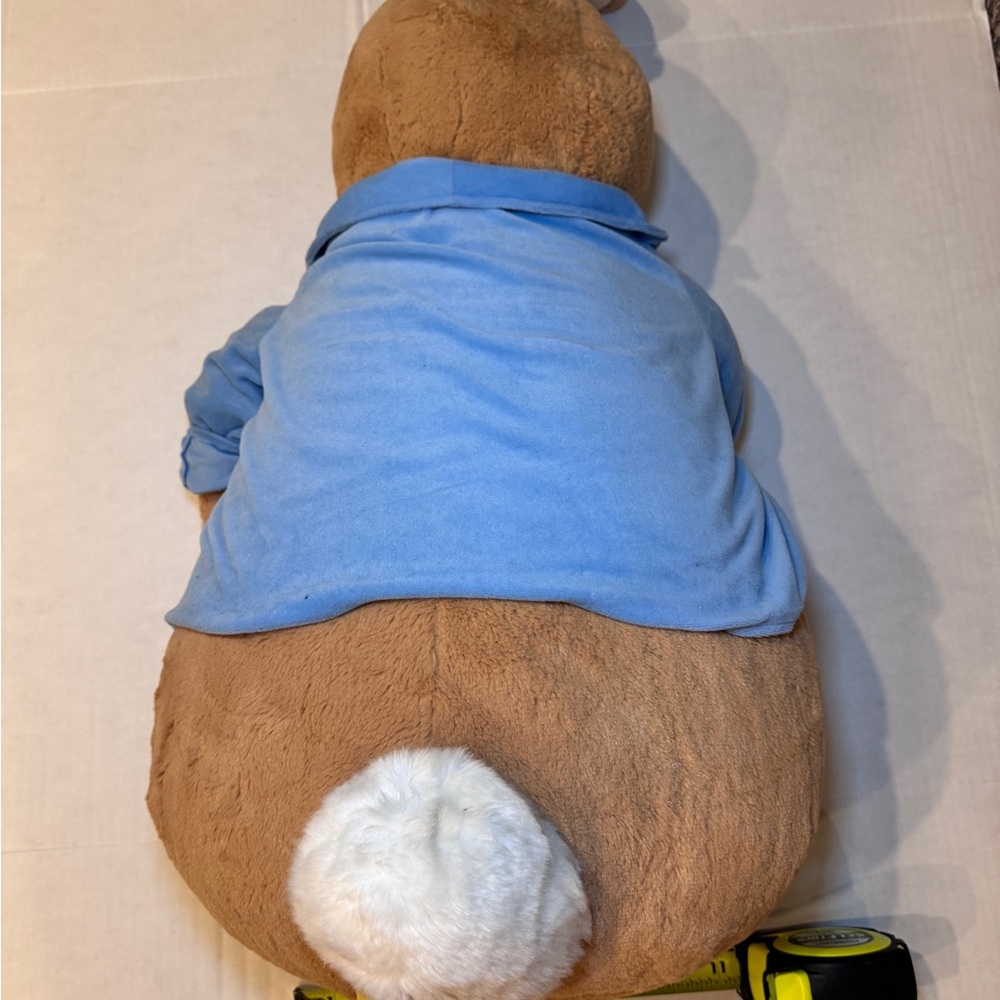 Beatrix Potter Peter Rabbit Plush Toy - Picture 3 of 6